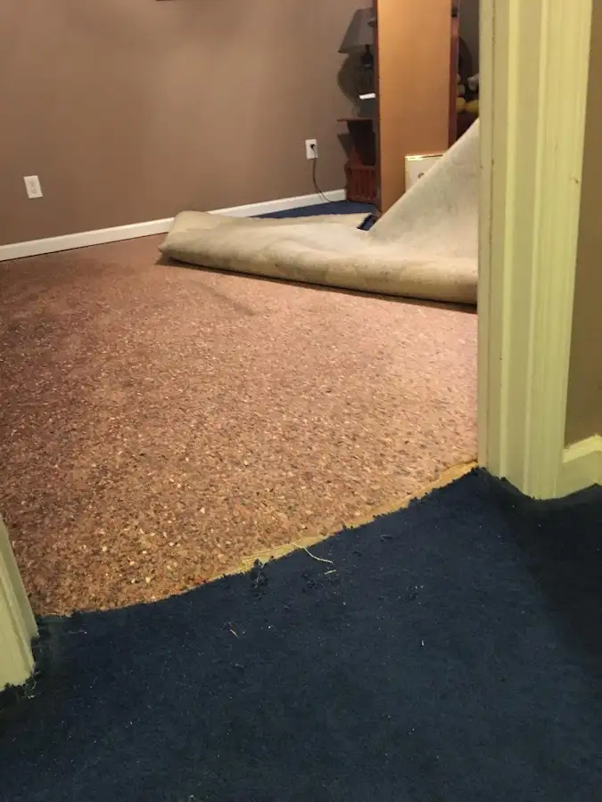 Carpet pad removal revealing water damage during Water Mitigation Services in Worcester